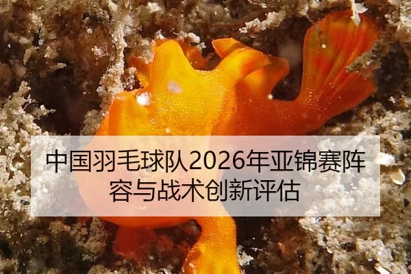 中国羽毛球队2026年亚锦赛阵容与战术创新评估